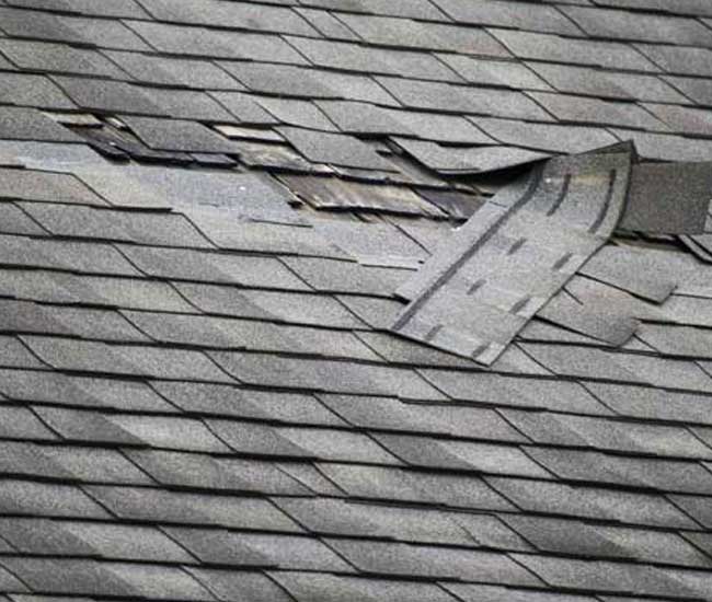 Learn More About Insurance Claim Services